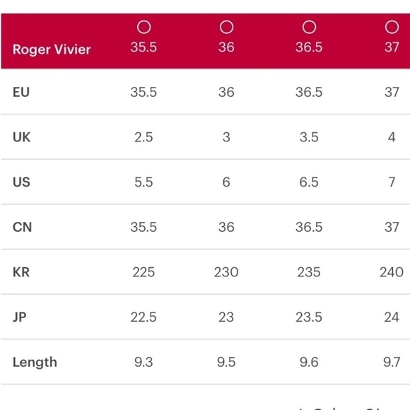 ROGER VIVIER Polly Suede Buckle Knee Boot In Grey - Picture 15 of 15